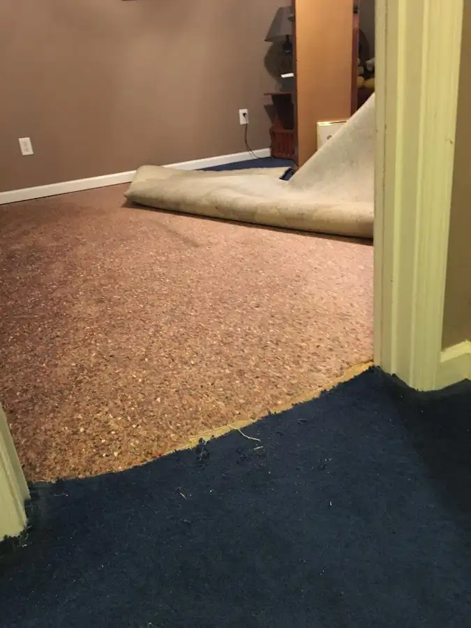 Carpet pad removal revealing water damage during Drying & Dehumidification in Greer