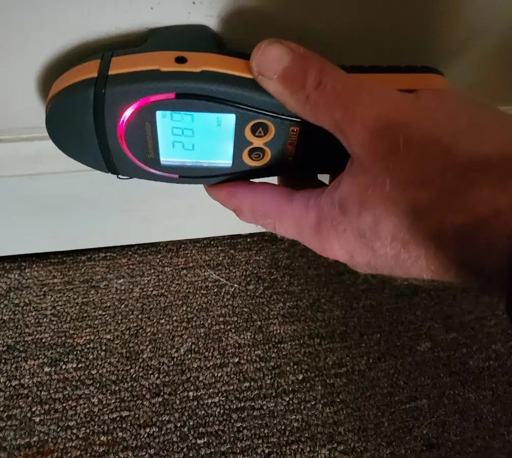 Moisture detection at baseboard during Mold Inspection & Testing in Greer